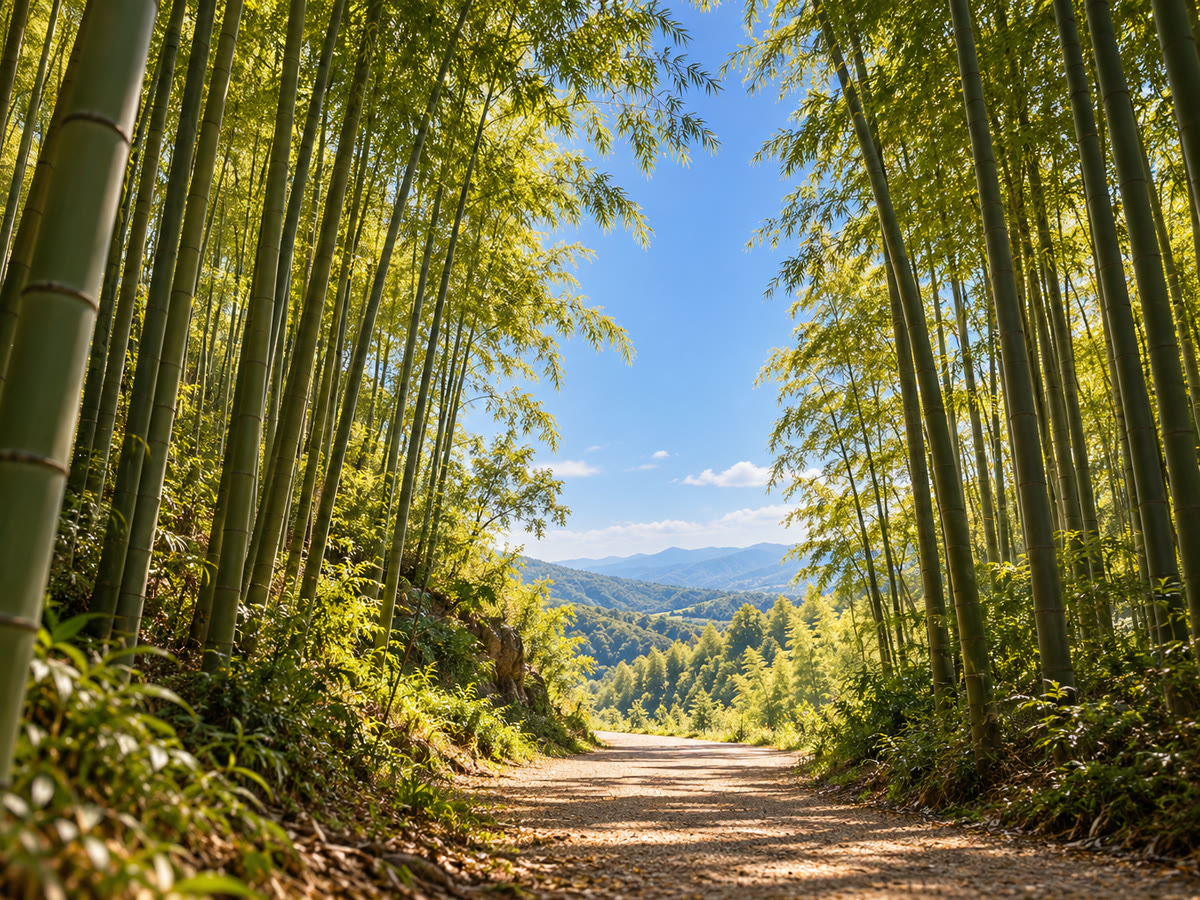 A bamboo-lined path opening toward sunlight, blue sky, and distant mountains.